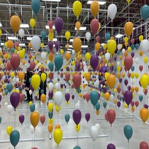 Meet your Posher, Sofia